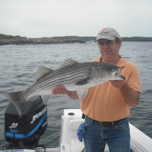 Fundraising Page: david harris